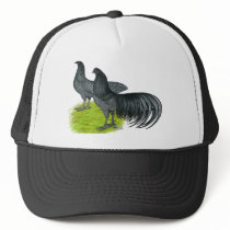 Sumatra:  Blue Pair Trucker Hat