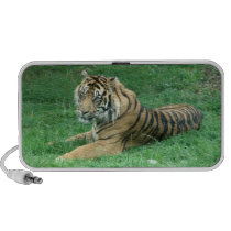 Sumatra Tiger At Rest On Your Doodle Mp3 Speaker