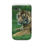 Sumatra Tiger On Your Samsung Galaxy Case