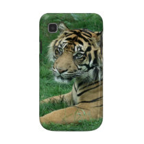 Sumatra Tiger On Your Samsung Galaxy Case