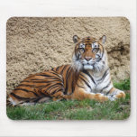 sumatran tiger 7 mouse pads