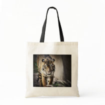 Sumatran Tiger Canvas Bags