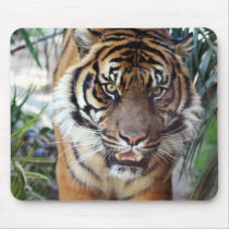 Sumatran Tiger mousepads by PublicDomainProducts Sumatran Tiger mousepads