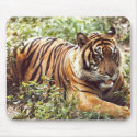 sumatran tiger mousepads