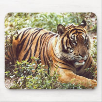 sumatran tiger mousepads
