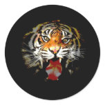 Sumatran Tiger Stickers