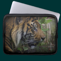 Sumatran Tiger Wild Animal Big Cat-Lover laptop sleeves