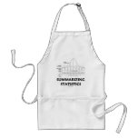 Summarizing Statistics Apron
