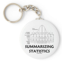 Summarizing Statistics Keychain