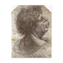 Summary A Grotesque Head (c. 1504 - 1507) is a dra Postcards
