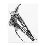 Summary Description A Ornithoper by Leonardo da Vi postcards