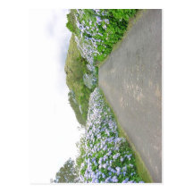 Summary {{Information Description Estrada t?pica d Postcards