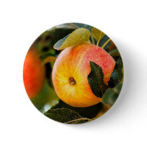 Summer Apples Pin