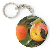 Summer Apples Key Chains