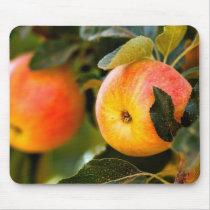 Summer Apples Mouse Pad