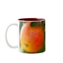 Summer Apples Coffee Mugs