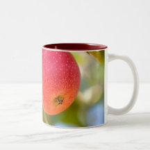 Summer Apples Mug