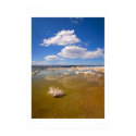 Summer at Mono Lake posters