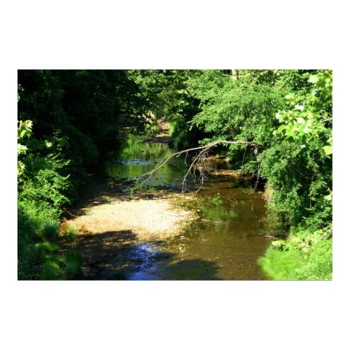 Summer at the Creek print
