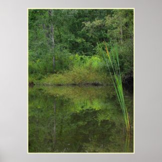 Summer at the Pond print