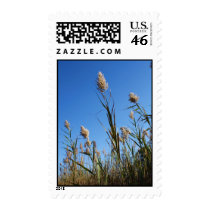 Summer at the Shore 44C Postage Stamp