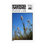 Summer at the Shore 44C postage
