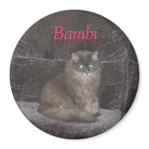 Summer August 2007 104, Bambi Refrigerator Magnets