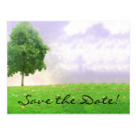 Summer/Autumn Tree "Save the Date" Postcard