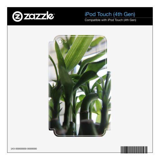 Summer Bamboo iPod Touch 4G Decal