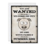 Summer BBQ Wanted Invitations