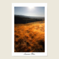Summer Bliss II posters