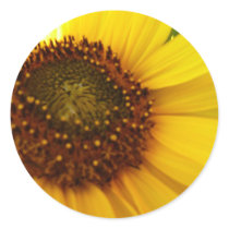 Summer Bliss Sticker