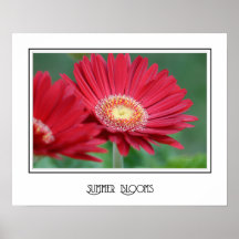 Summer Blooms Print