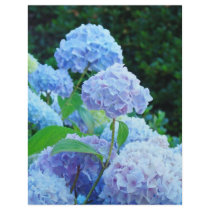 Summer Blue Hydrangea Flower ScrapBook paper Custom Letterhead