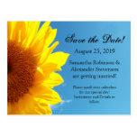 Summer Blue Sky with Yellow Sunflower postcards