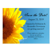 Summer Blue Sky with Yellow Sunflower Post Cards