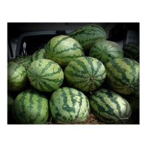 Summer Bounty Print
