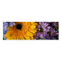 Summer Bouquet • Wedding Website Profile Card business cards