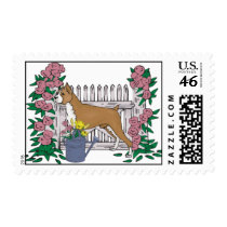 summer boxer postage
