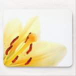 "Summer Breeze" Floral Mouse Pad mousepads