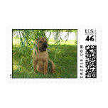 Summer Breeze postage