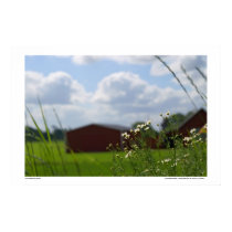 Summer breeze posters