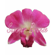 Summer Breeze t-shirts by ConfusedxFreak Summer Breeze t-shirts