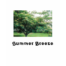 Summer Breeze t-shirts by weborah Summer Breeze t-shirts
