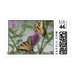 Summer Butterflies Postage stamps