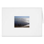 Summer Greeting Cards