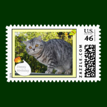 Summer cat postage postage