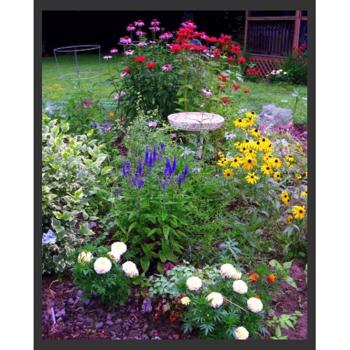 Summer Cottage Garden print