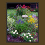 Summer Cottage Garden