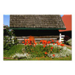 Summer Cottage Photographic Print